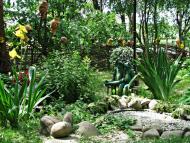 Лісові Сорочинці з panoramio.com