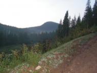 Рипень з panoramio.com