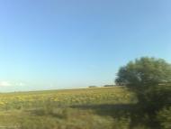 Широке з panoramio.com