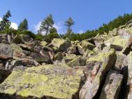 Кузьминець з panoramio.com