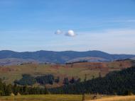 Rypen - Latest photos