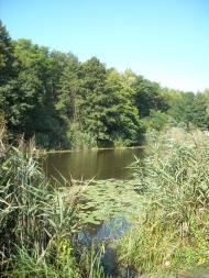 Снігурівка з panoramio.com