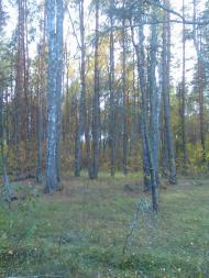 Гукове з panoramio.com