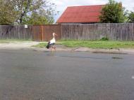 Михайлівка-Рубежівка з panoramio.com