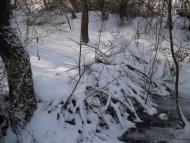 Чижівка з panoramio.com