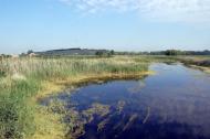 Булгаківка з panoramio.com