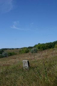 Трощин з panoramio.com