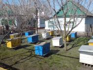 Новопідкряж з panoramio.com