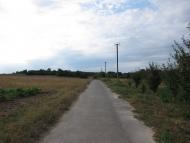 Язвинки з panoramio.com