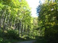 Туриця з panoramio.com