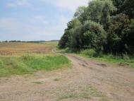 Гонтів Яр з panoramio.com