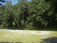 Селище з panoramio.com