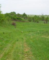 Маївка з panoramio.com