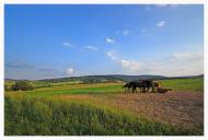 Галівка з panoramio.com