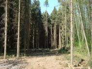 Карпівці з panoramio.com