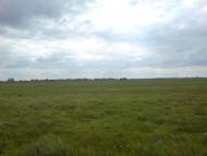 Новопідкряж з panoramio.com