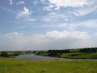 Жовте з panoramio.com