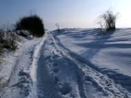 Заболоття з panoramio.com