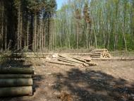 Карпівці з panoramio.com