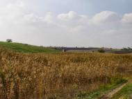 Олександрівка - Останні фото