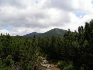 Кузьминець з panoramio.com