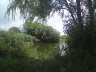 Кураж з panoramio.com