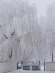 Гриців з panoramio.com