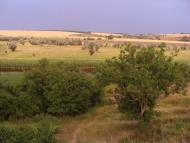 Кам'янка-Дніпровська з panoramio.com