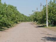 Більманка - Останні фото