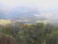 Земляничне з panoramio.com