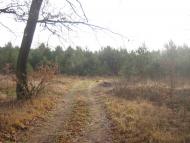 Великі Мости з panoramio.com