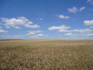 Кузьмин з panoramio.com