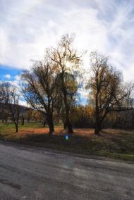 Курське з panoramio.com