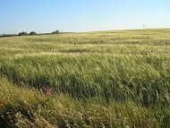 Тернівка з panoramio.com