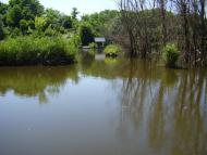 Нижня Хортиця з panoramio.com