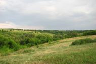 Грабовське з panoramio.com
