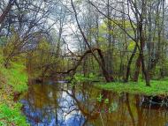 Данилове з panoramio.com