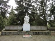 Боровичі з panoramio.com