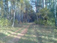 Гукове з panoramio.com