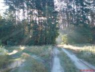 Гукове з panoramio.com
