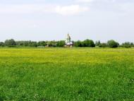 Колодруби з panoramio.com