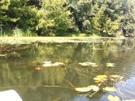 Межиріч з panoramio.com