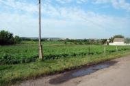 Булгаківка з panoramio.com