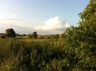 Новосілки з panoramio.com