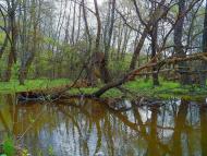 Данилове з panoramio.com