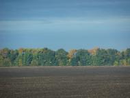 Бурківці - Останні фото