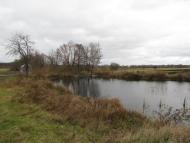 Сиваківці з panoramio.com