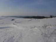 Теліжинці з panoramio.com