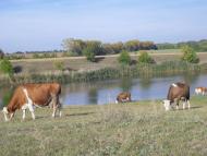 Перекопівка з panoramio.com - Перекоповка