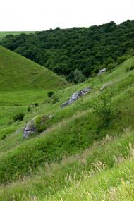 Кунисівці - Останні фото